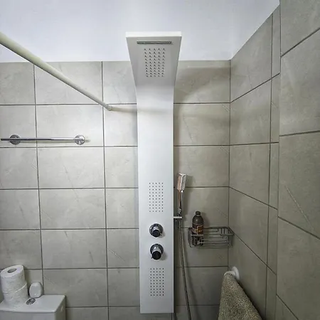 The Rose アパート *